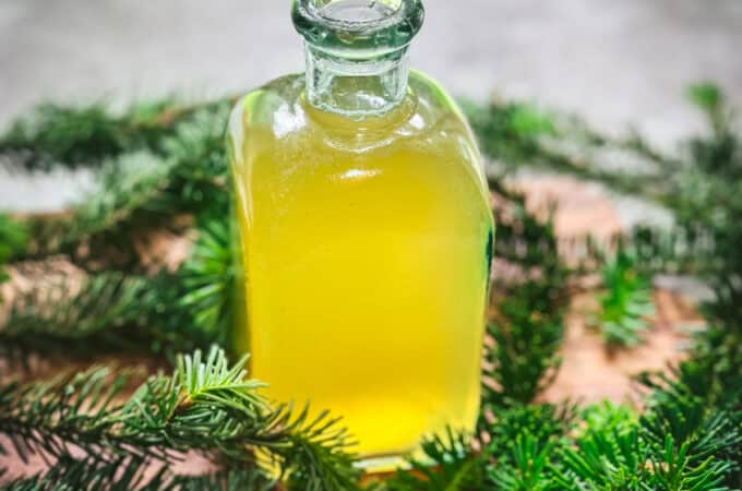 A bottle with yellow conifer tip syrup on a wood surface surrounded by conifer tips.