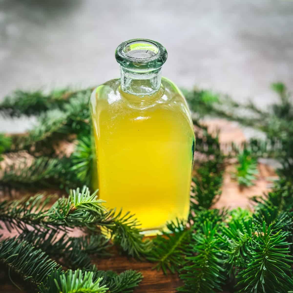 A bottle with yellow conifer tip syrup on a wood surface surrounded by conifer tips. 