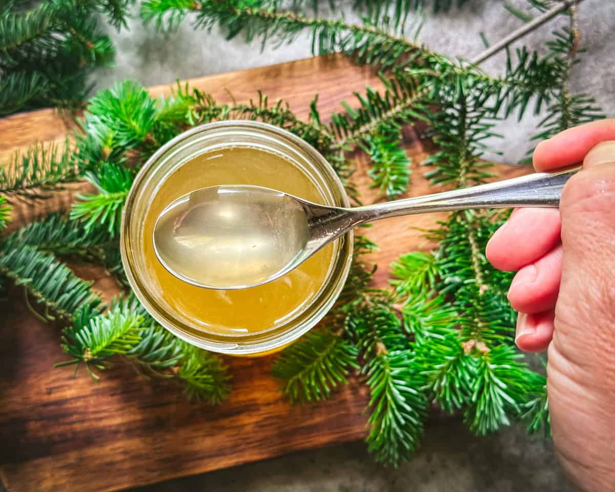 A jar of fir tip syrup with a spoonful held up above it, top view. On a wood cutting board surrounded by fresh fir tips. 