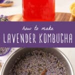 how to make lavender kombucha