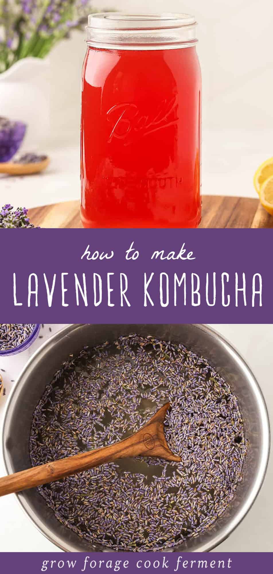 Lavender Kombucha: A Calming Second Ferment