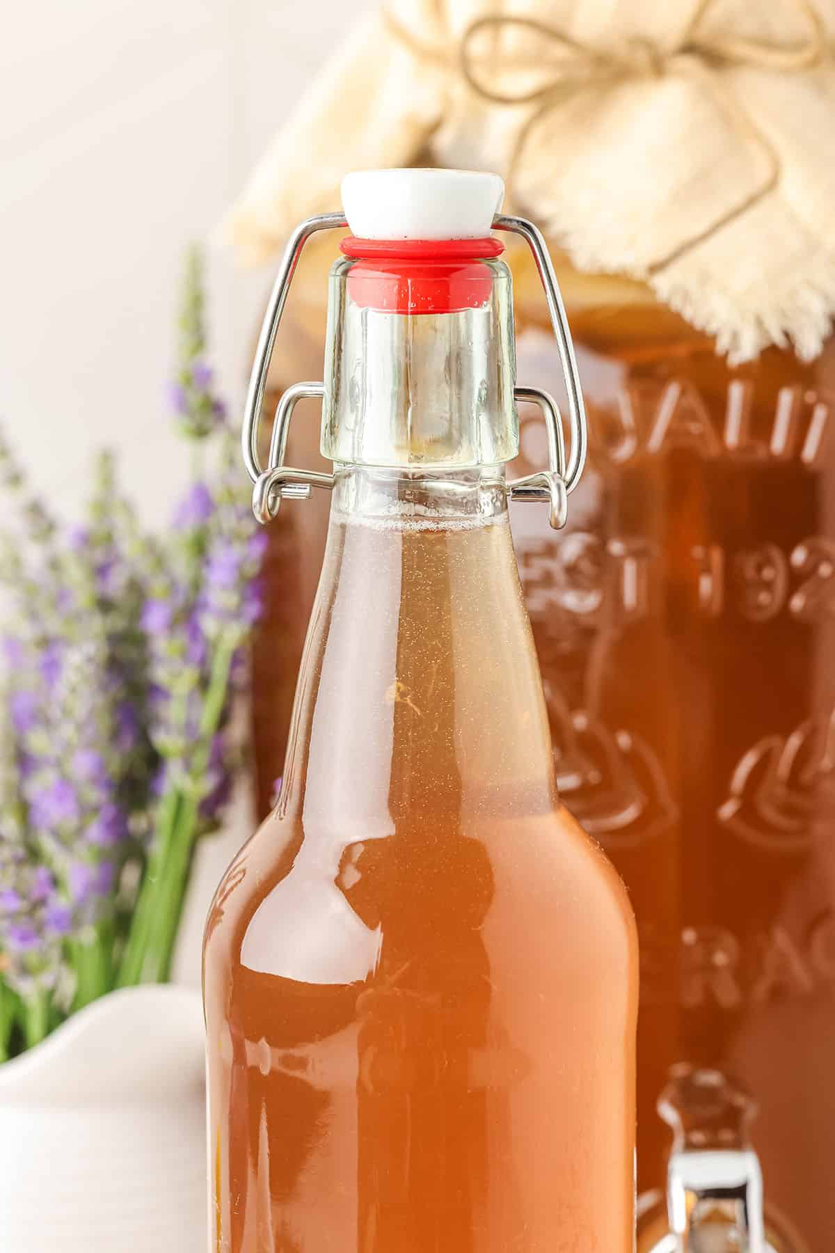 A kombucha bottle with bubbles at the top, close up. With lavender flowers in the background and a gallon jar of kombucha brewing with a cloth on top. 