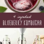 4 ingredient blueberry kombucha