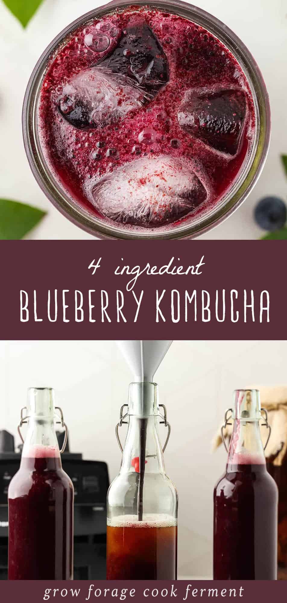 Homemade Blueberry Kombucha