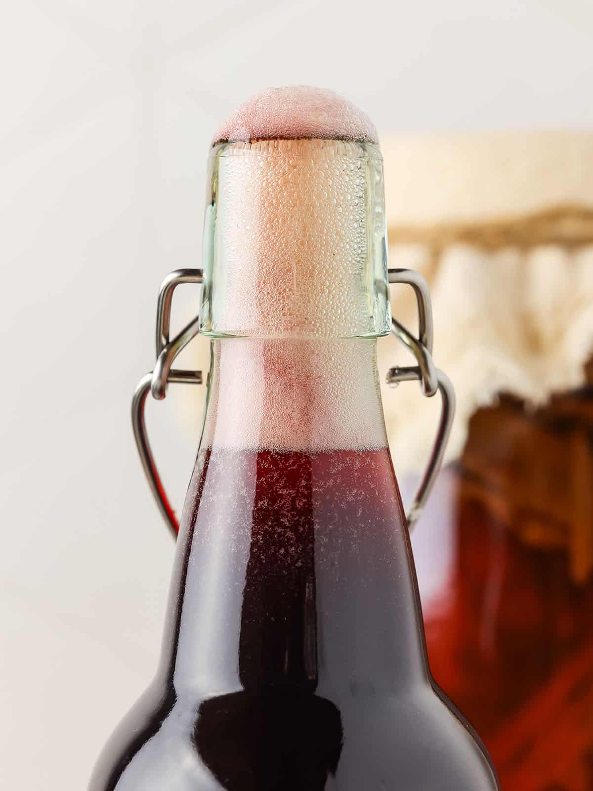 Elderberry kombucha bottle with bubbles formed on the top of the bottle neck. 