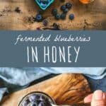 fermented blueberries in honey