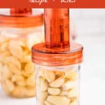 fermented garlic recipe and uses