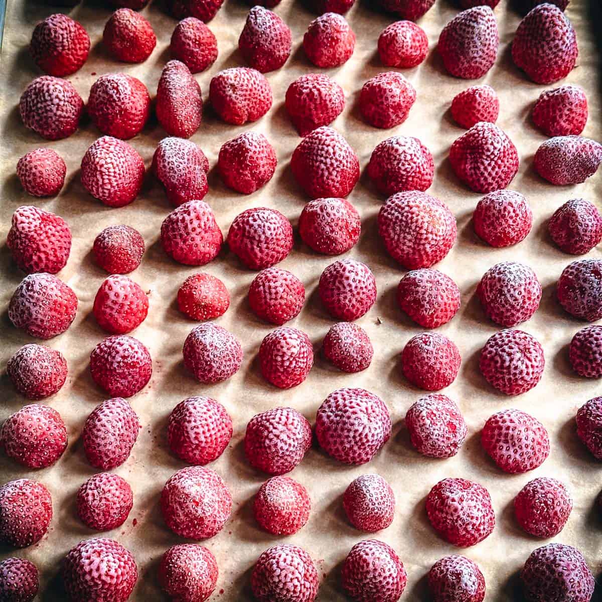 A baking sheet of frozen strawberries on parchment paper. 