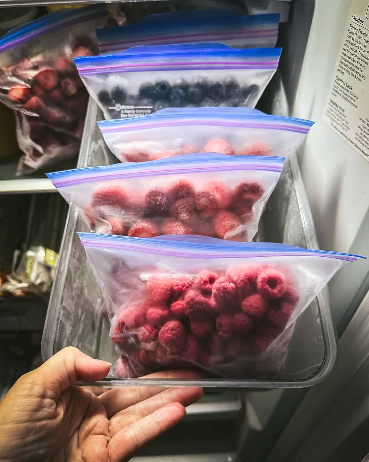 A bin of zip-top bags of froze berries, being pulled out of the freezer by a hand. 