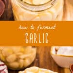 how to ferment garlic