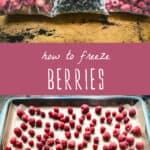 how to freeze berries