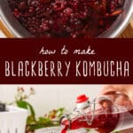 how to make blackberry kombucha