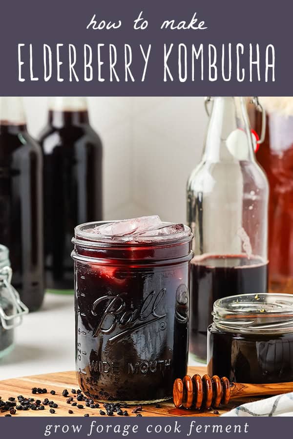 Elderberry Kombucha: Second Ferment