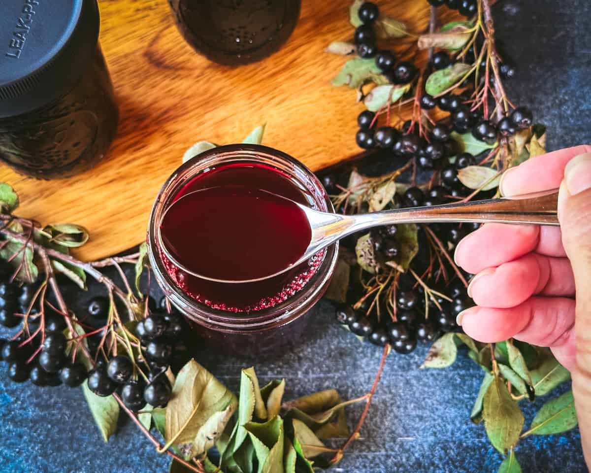 A jar of aronia oxymel with a spoonful of the liquid being lifted up above the jar, surrounded by fresh aronia plants. Top view. 