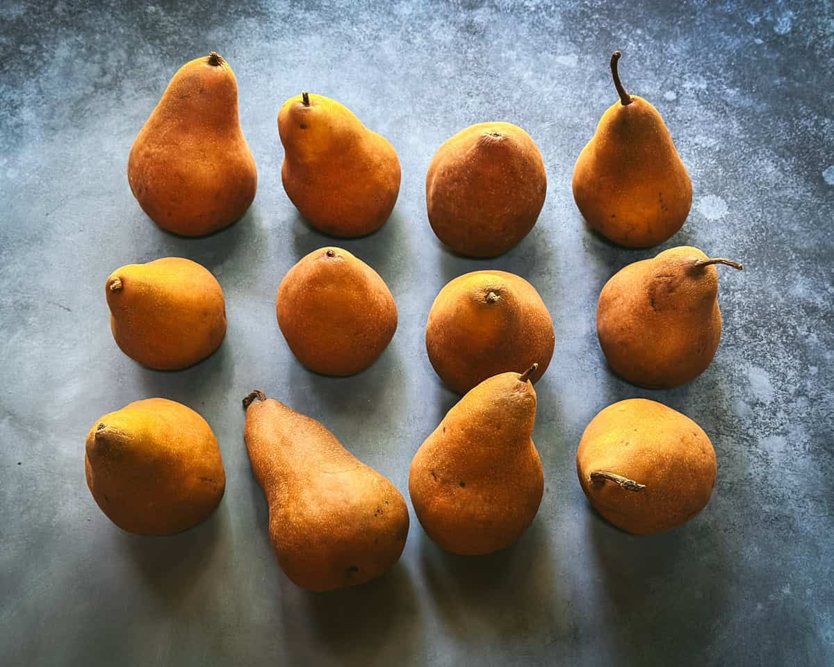 12 pears on a gray surface in natural light. 