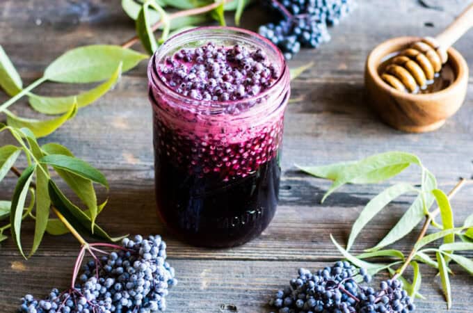 A jar of elderberry fermented honey on a wood surface with fresh elderberries and a honey wand surrounding.