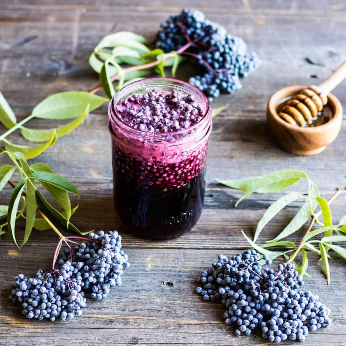 A jar of elderberry fermented honey on a wood surface with fresh elderberries and a honey wand surrounding. 