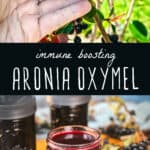 immune boosting aronia oxymel