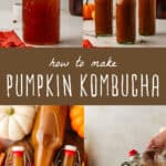 how to make pumpkin kombucha