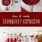 cranberry kombucha